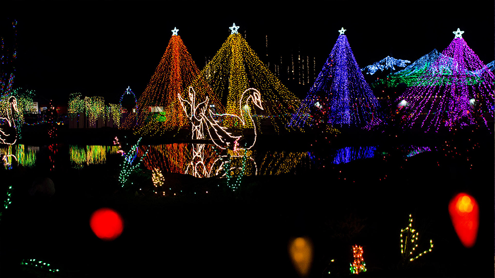 The-Lights-of-Christmas