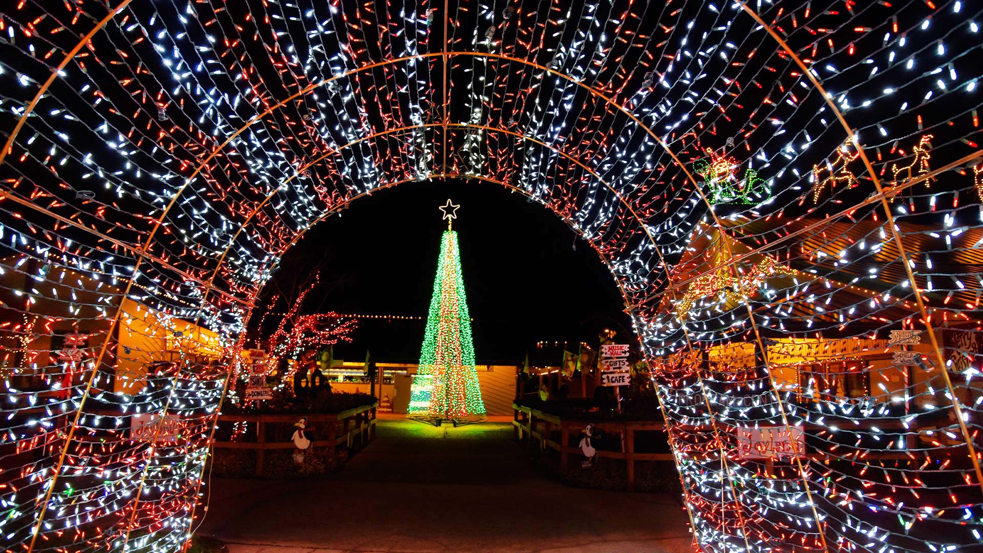 skræmmende perler dyb About Our Magical Festival - The Lights of Christmas